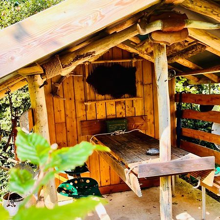 La Cabane Perchee Du Trappeur Écrainville Εξωτερικό φωτογραφία