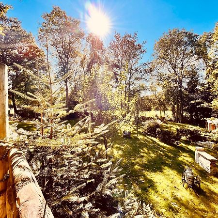 La Cabane Perchee Du Trappeur Écrainville Εξωτερικό φωτογραφία