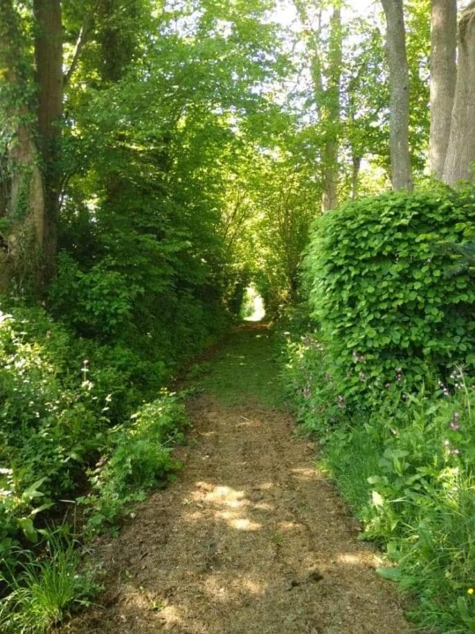 La Cabane Perchee Du Trappeur Écrainville Εξωτερικό φωτογραφία