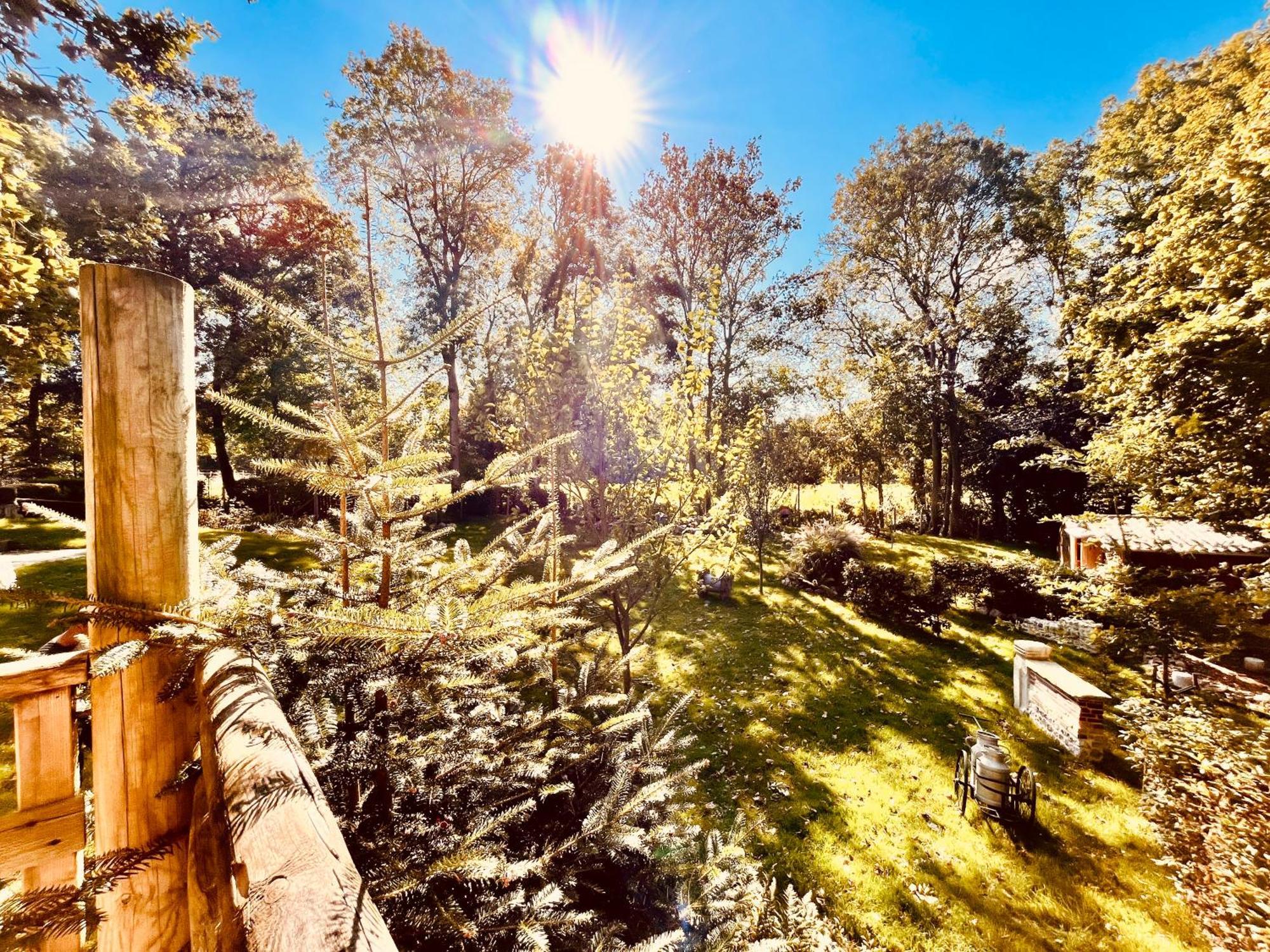 La Cabane Perchee Du Trappeur Écrainville Εξωτερικό φωτογραφία